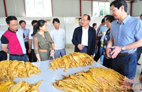 ​超高频RFID手持机在烟叶收购中的运用